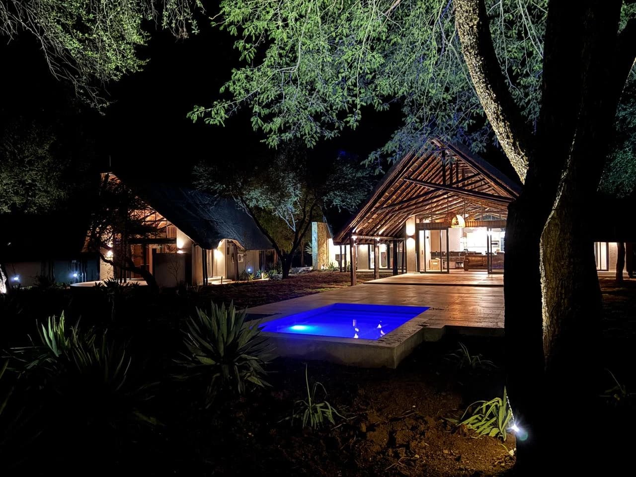 Black Rhino — pool and buildings at night